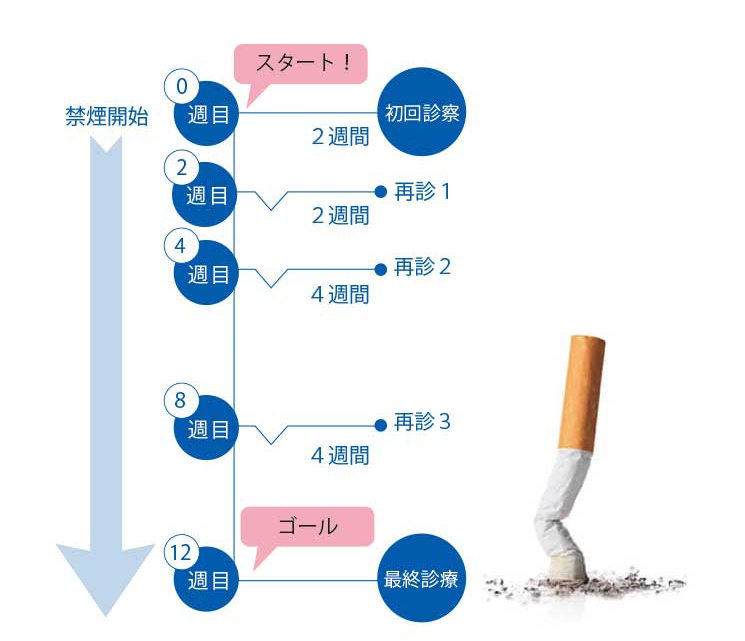 禁煙外来治療の流れの図解